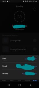 Check bvn on access bank app 